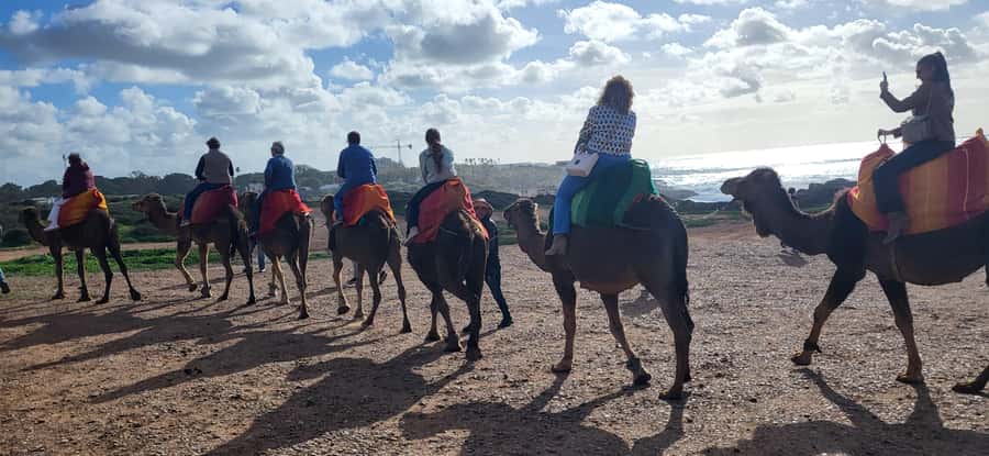 Explore Tangier: Cap Spartel, Cave, & Camel Ride Adventure - What your driver-guide adds