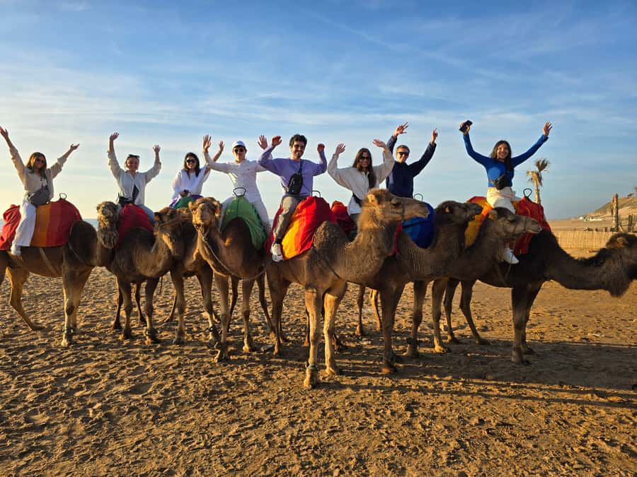 Explore Tangier: Cap Spartel, Cave, & Camel Ride Adventure - The drive west through Tangier’s outskirts