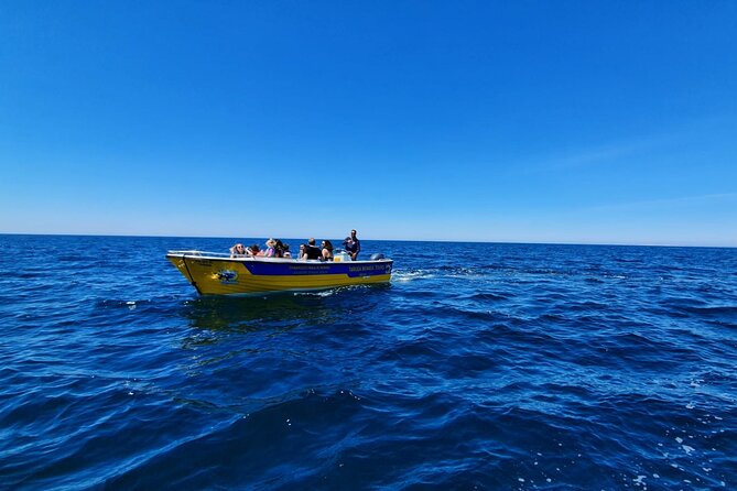 Express Tour - Benagil Cave - Who should book this express trip?