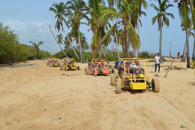 Extreme Boogie Tour in Punta Cana, Macao Beach and Cenote - The typical house: coffee, cocoa, rum, and mamajuana