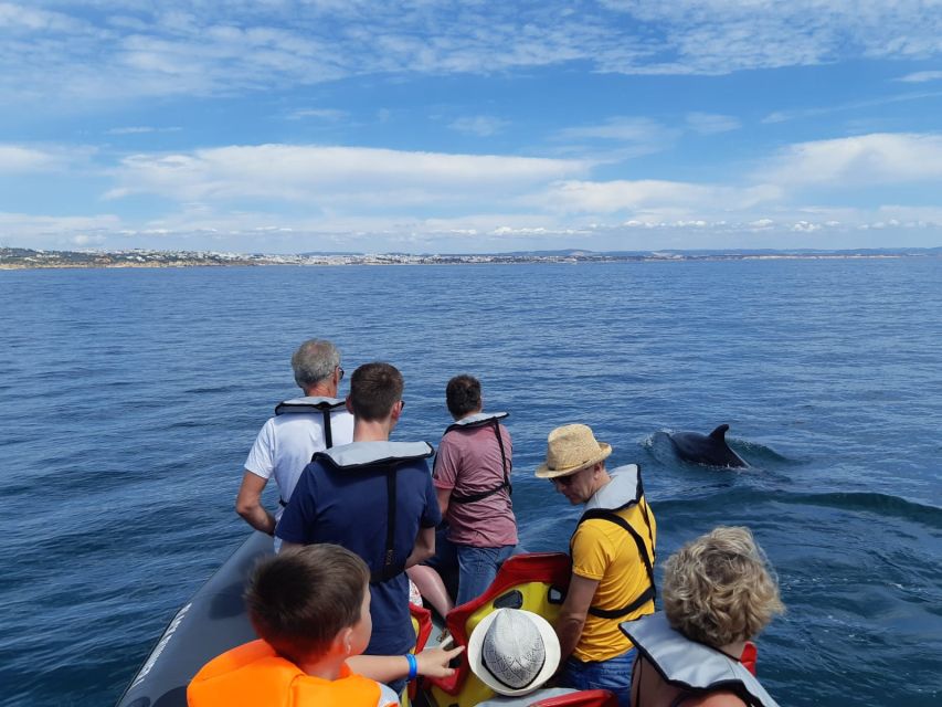 From Albufeira: Benagil Caves and Dolphins Guided Boat Tour - Is $35 a fair price?