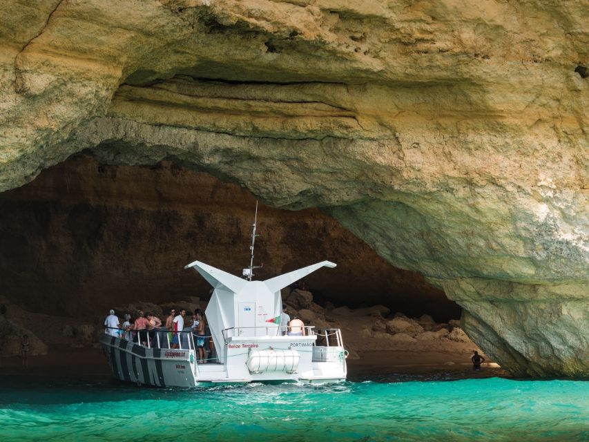 From Albufeira: Dolphins and Caves 2.5-Hour Boat Trip - Should you book the AlgarExperience dolphin and cave trip?