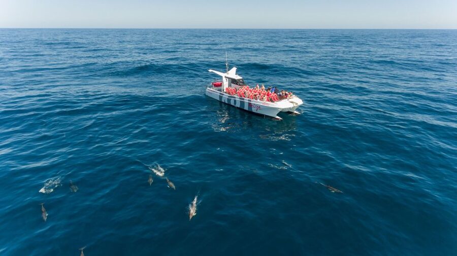 From Albufeira: Dolphins and Caves 2.5-Hour Boat Trip - Leaving Albufeira Marina for open water