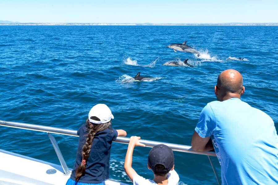 From Albufeira: Dolphins and Caves 2.5-Hour Boat Trip - Boat comfort, spray, and sea conditions