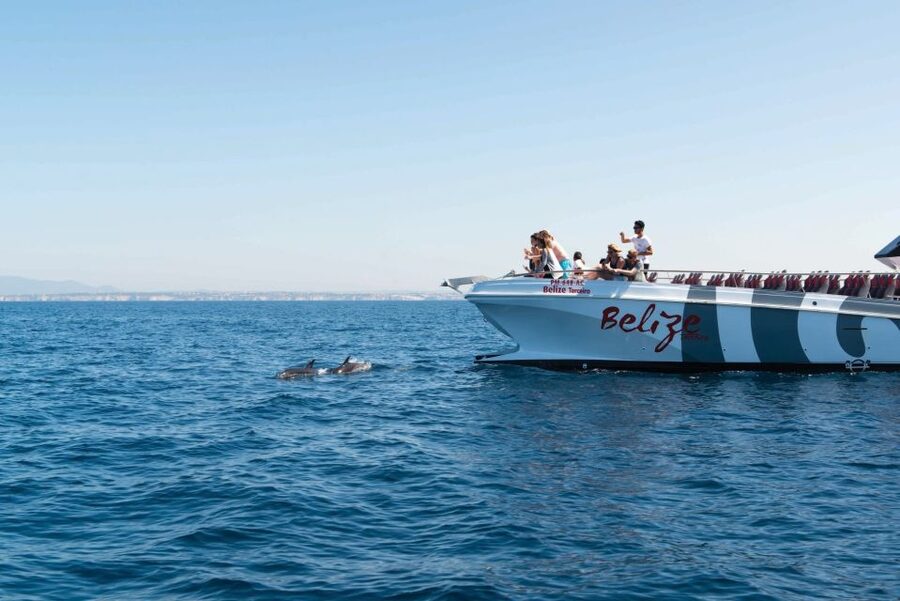 From Albufeira: Dolphins and Caves 2.5-Hour Boat Trip - Is $34 good value?