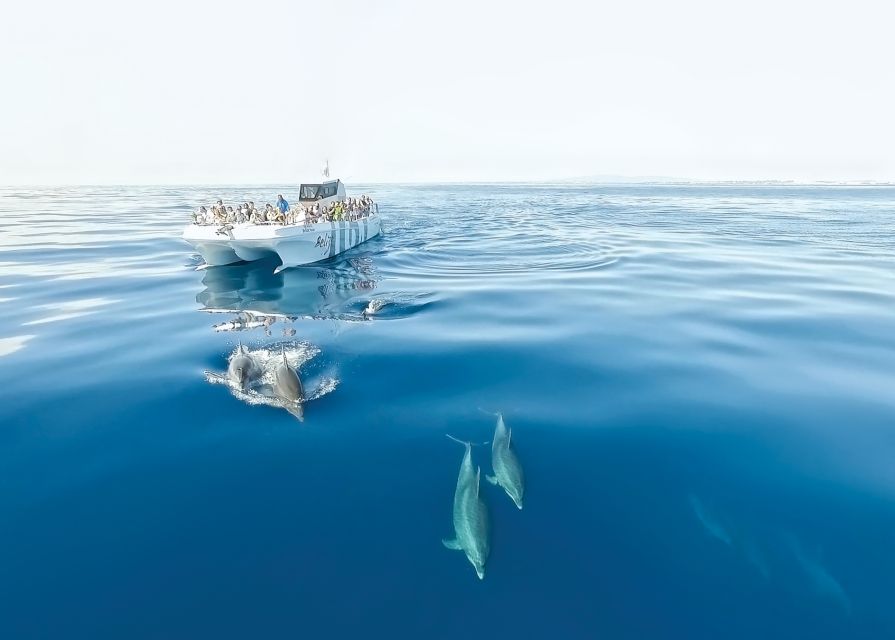 From Albufeira: Dolphins and Caves 2.5-Hour Boat Trip - Searching for dolphins in the Atlantic