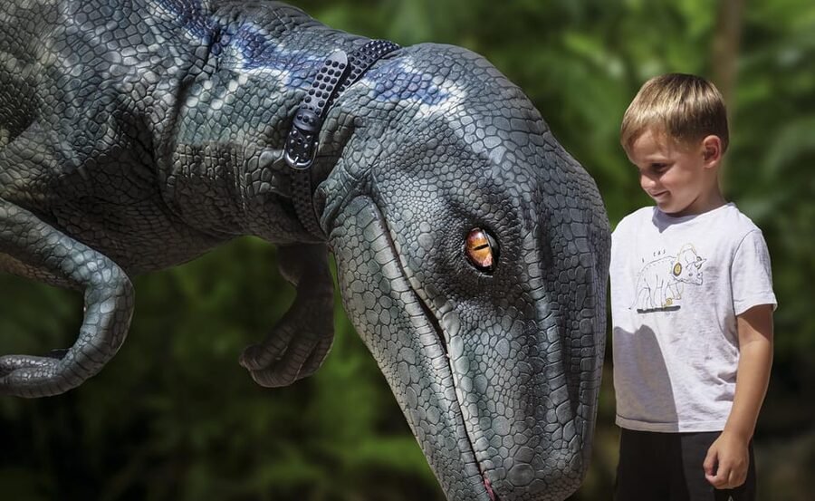 From Alcúdia: Dinosaurland and Hams' Caves Half-Day Trip - Key points to know before booking
