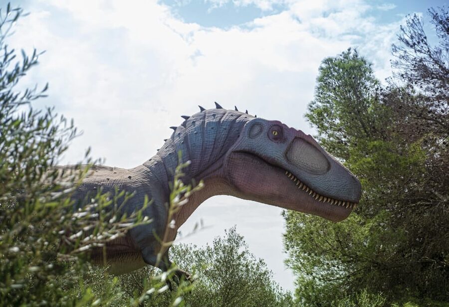 From Alcúdia: Dinosaurland and Hams' Caves Half-Day Trip - Who will enjoy this most
