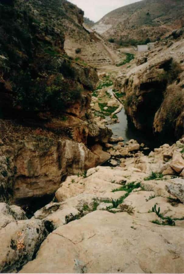 From Amman: Jerash, Umm Qais, and Jesus' Cave Private Trip - Who should book this northern Jordan trip?