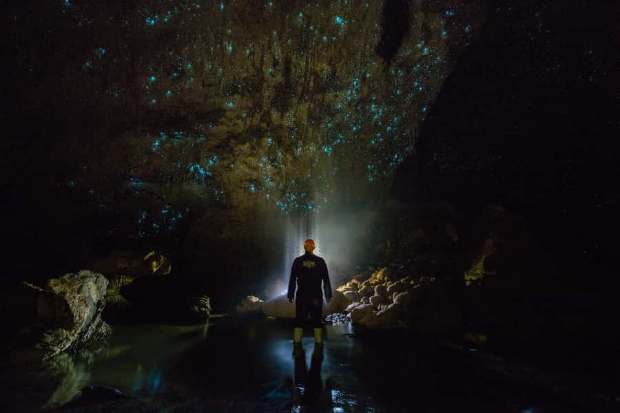 From Auckland: Day Trip to Waitomo Glow Worm Caves - Should you book this Waitomo tour?