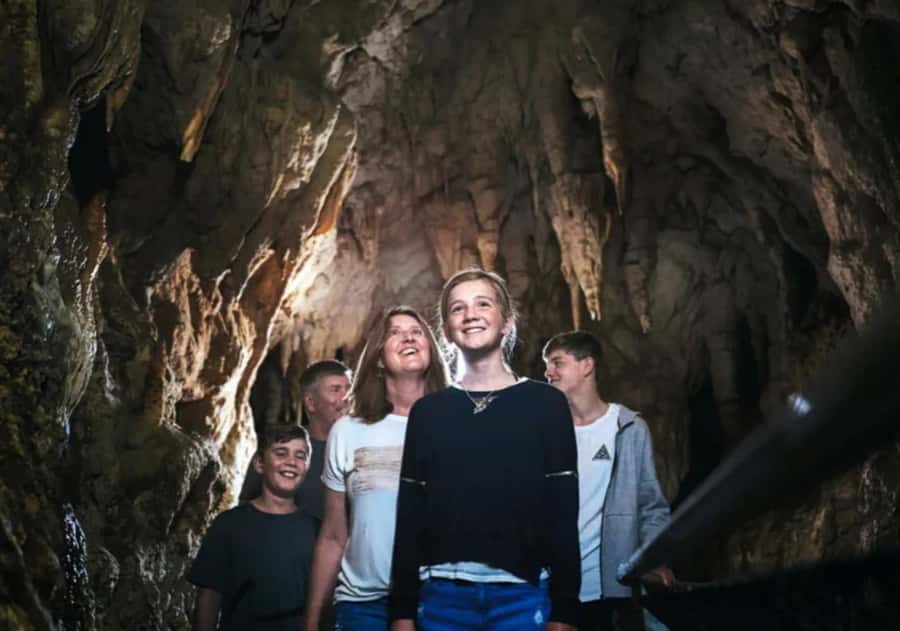 From Auckland: Day Trip to Waitomo Glow Worm Caves - Inside Waitomo Glowworm Cave