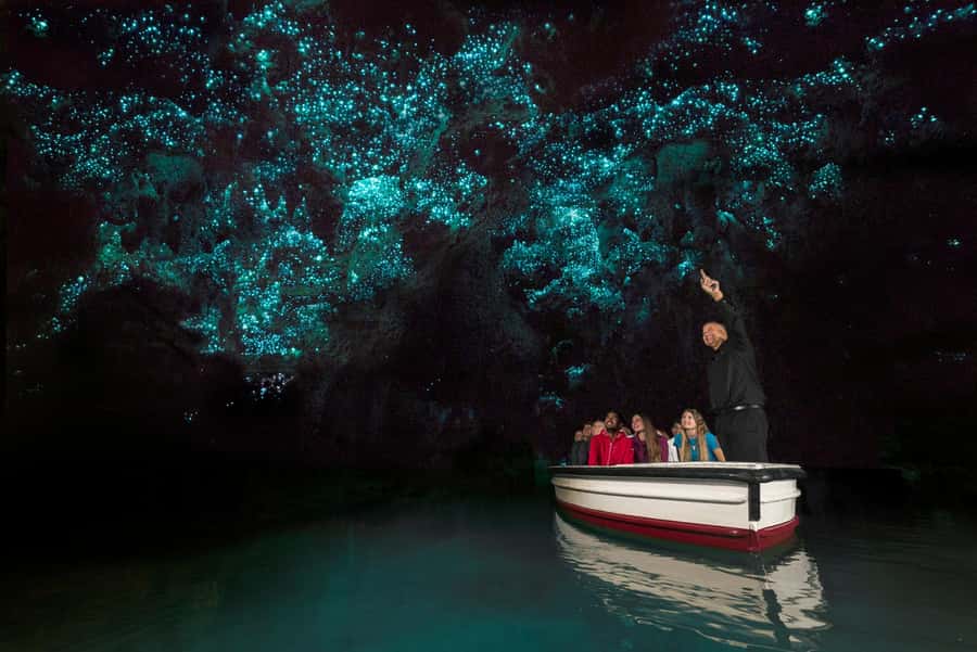 From Auckland: Day Trip to Waitomo Glow Worm Caves - Auckland pickup and the first hours on the road