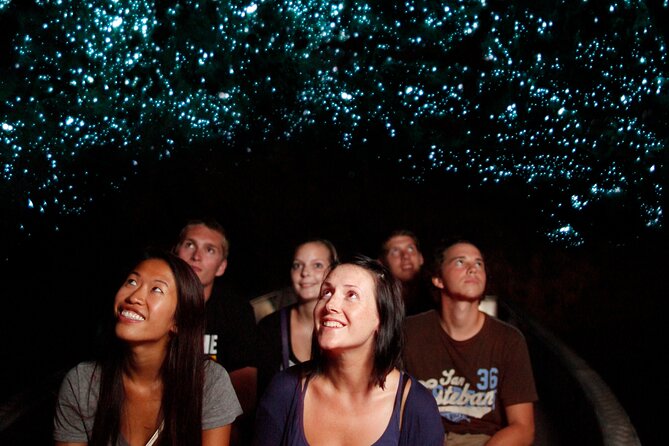 From Auckland:Hobbiton Movie Set & Waitomo Caves Small Group Tour - What the $257.54 price covers
