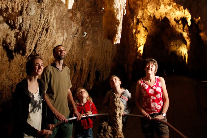 From Auckland:Hobbiton Movie Set & Waitomo Caves Small Group Tour - A short Waitomo lunch stop before Hobbiton