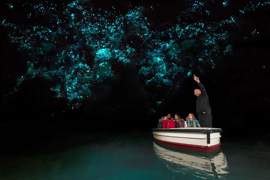 From Auckland: Hobbiton & Waitomo Caves Day Trip with Lunch - What the road time feels like