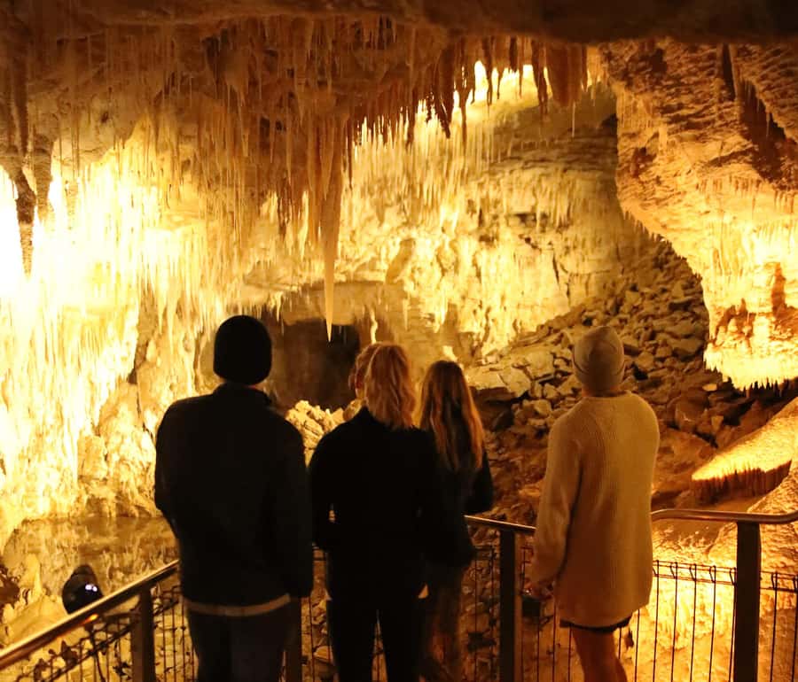 From Auckland: Hobbiton & Waitomo Caves Full-Day Trip - The return to Auckland