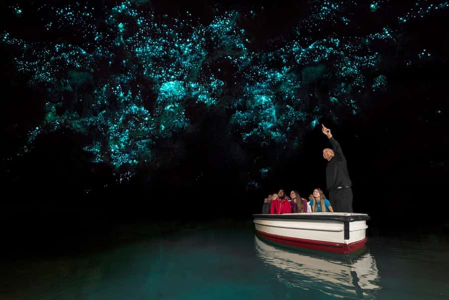 From Auckland: Hobbiton & Waitomo Caves Full-Day Trip - The road south from Auckland