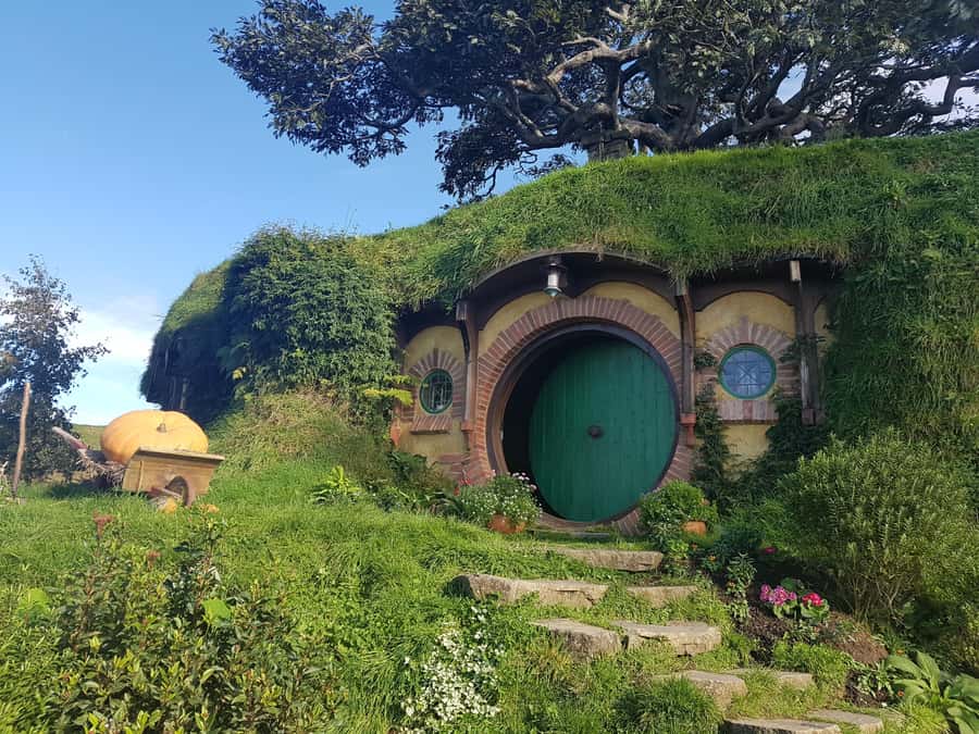 From Auckland: Two-Day Hobbiton, Rotorua, Waitomo Caves Tour - Why this two-day North Island route works