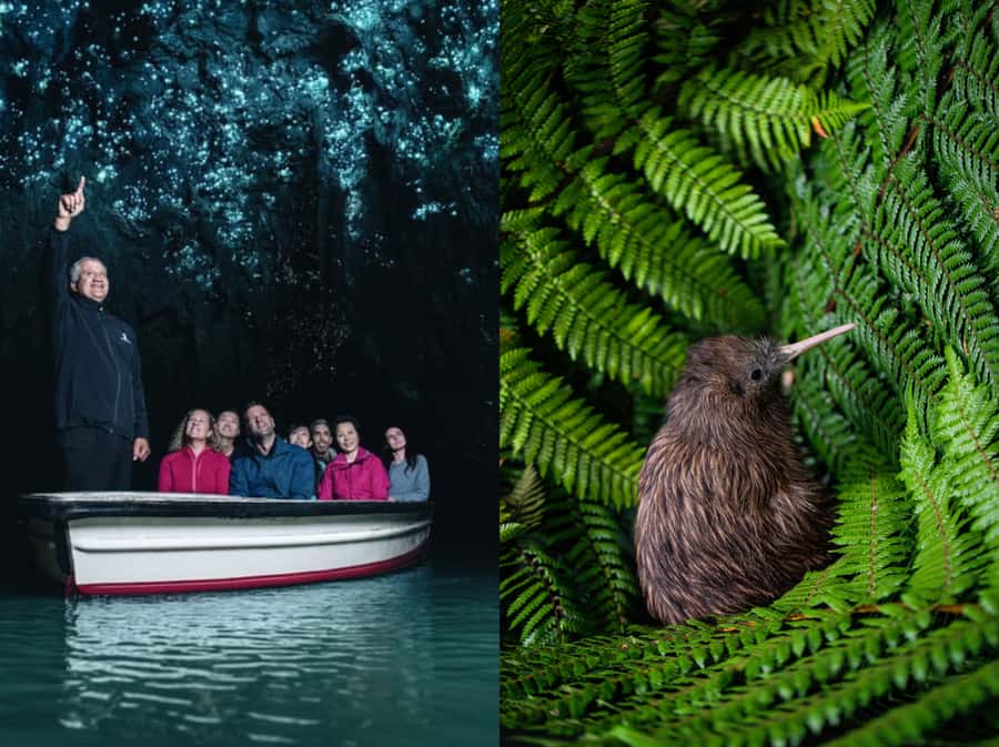 From Auckland: Waitomo Caves and Kiwi House Group Tour - Lunch in Otorohanga is simple and independent