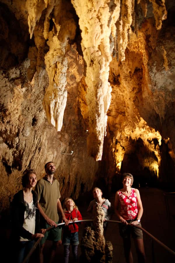 From Auckland: Waitomo Caves and Kiwi House Group Tour - How to prepare for the underground and outdoor portions