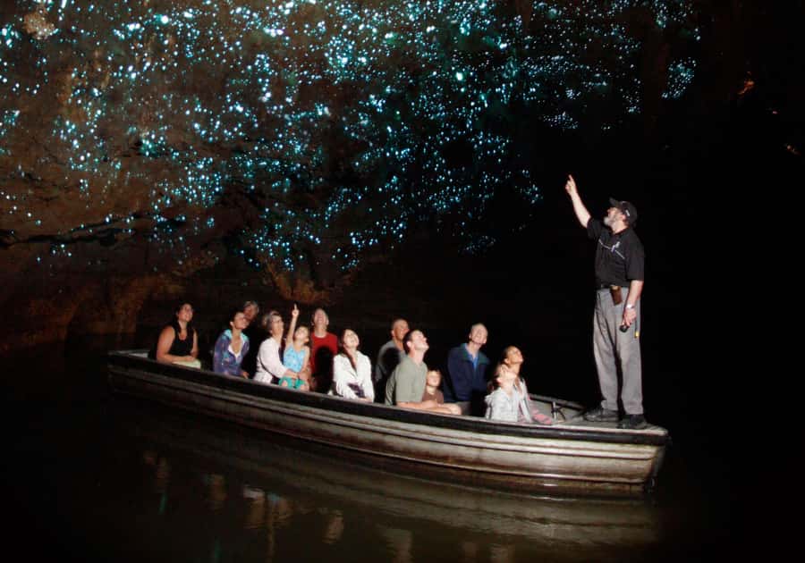 From Auckland: Waitomo Caves and Kiwi House Group Tour - Who will enjoy this day most?