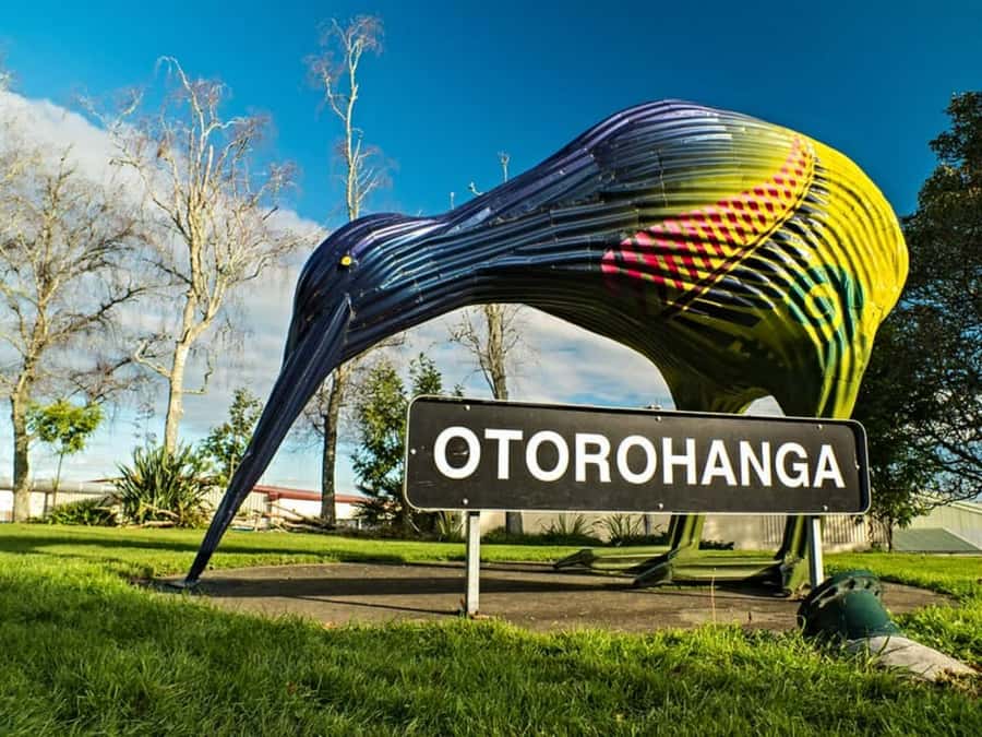 From Auckland: Waitomo Caves and Kiwi House Group Tour - Should you book the Waitomo and Kiwi House day trip?