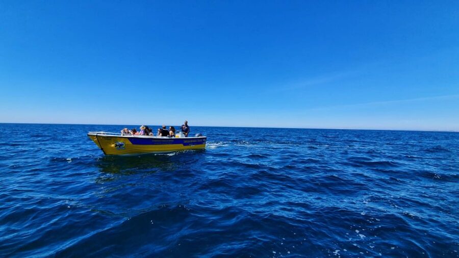 From Benagil: Benagil Cave & Marinha Beach Express Tour - Benagil Cave in a 30-minute format