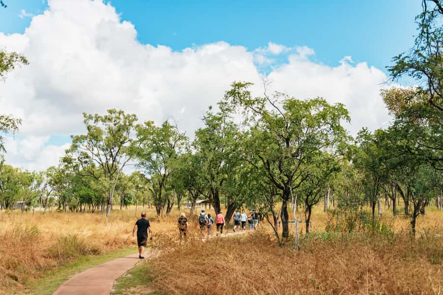 From Cairns: Chillagoe Caves and Outback Full-Day Tour - Inside the Chillagoe-Mungana Caves