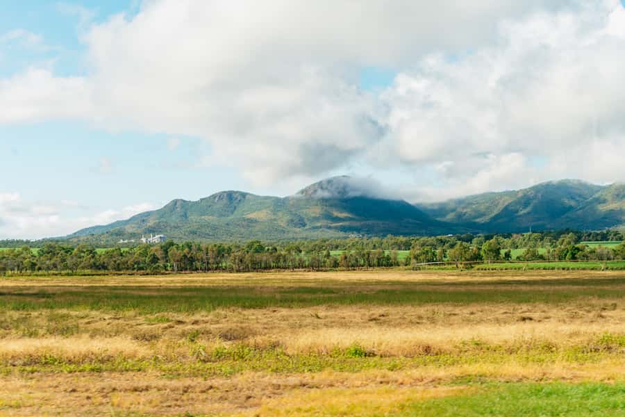 From Cairns: Chillagoe Caves and Outback Full-Day Tour - The Road West Shows Queensland Changing