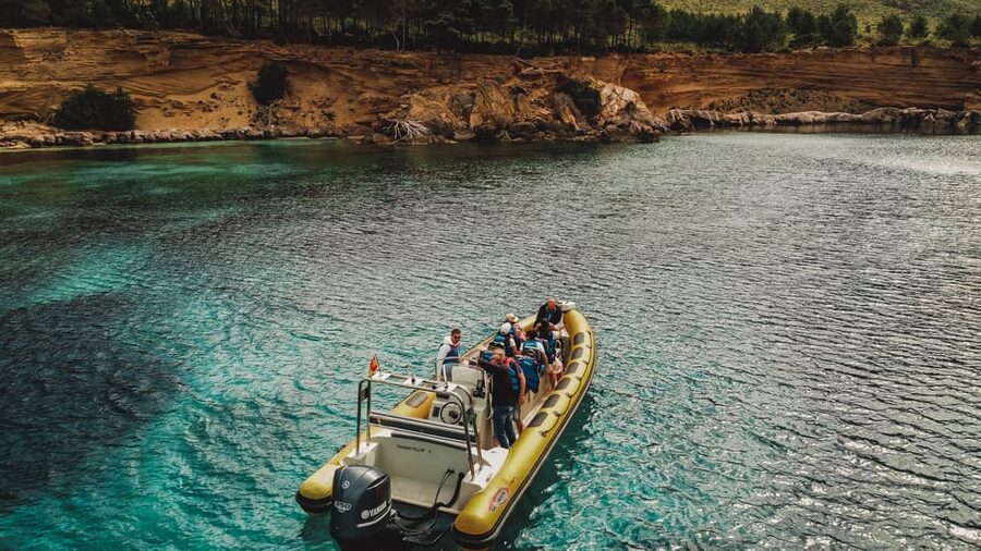 From Can Picafort: Dolphin Watching and Cave Boat Trip - Key points to know before booking