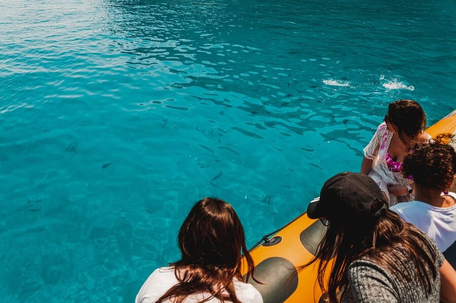 From Can Picafort: Dolphin Watching and Cave Boat Trip - Watching dolphins in their natural setting