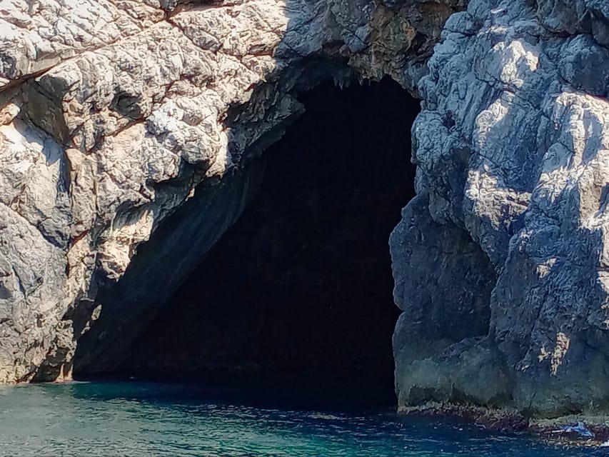 From Can Picafort: Dolphin Watching and Cave Boat Trip - Swimming near Es Coll Baix