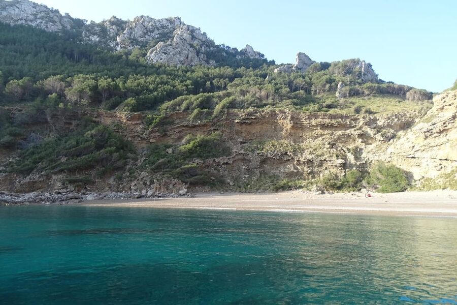 From Can Picafort: Dolphin Watching and Cave Boat Trip - Sunrise over the north coast
