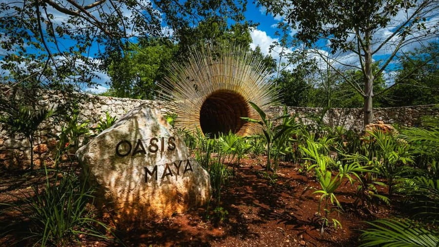 From Cancun: Ek Balam and Cenote Tour with Lunch & Transfer - What the $95 price really covers