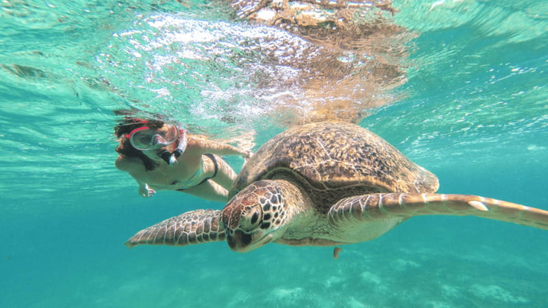 From Cancun: Tulum, Cenote and Turtle Swim Tour at Akumal - The order may change