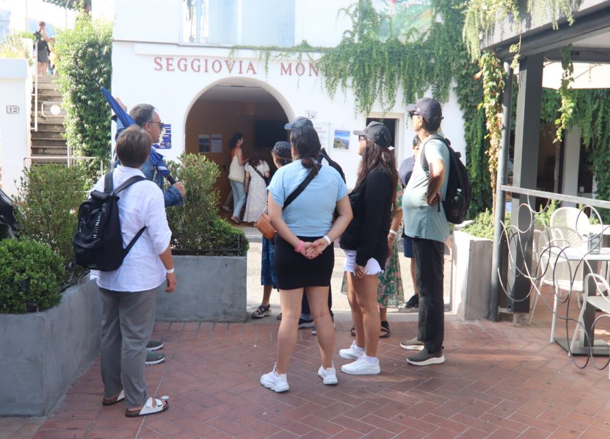 From Capri: Blue Grotto, Capri and Anacapri Guided Tour - Who should book this Capri tour?