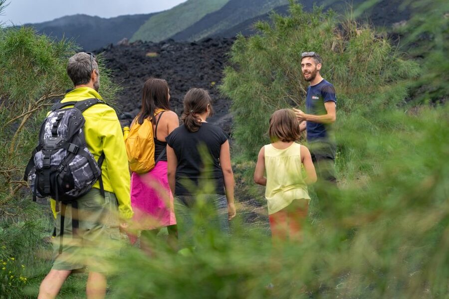 From Catania: trek on Mount Etna, Lava Cave & tasting Tour - Who should book this Etna outing