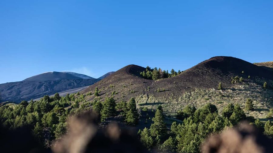 From Catania: trek on Mount Etna, Lava Cave & tasting Tour - What to expect inside Grotta Lunga