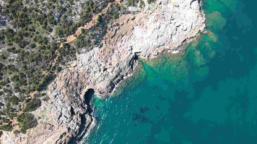 From Denia: Boat Trip to Tallada Cave with Optional Swim - Should you book the Cova Tallada cruise?