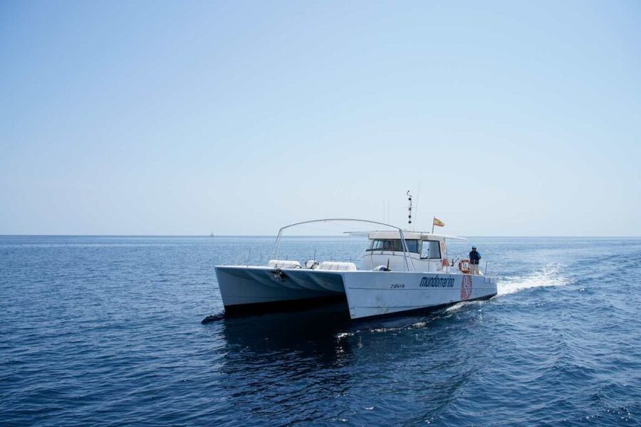 From Denia: Boat Trip to Tallada Cave with Optional Swim - Music, waves, and the feel on board