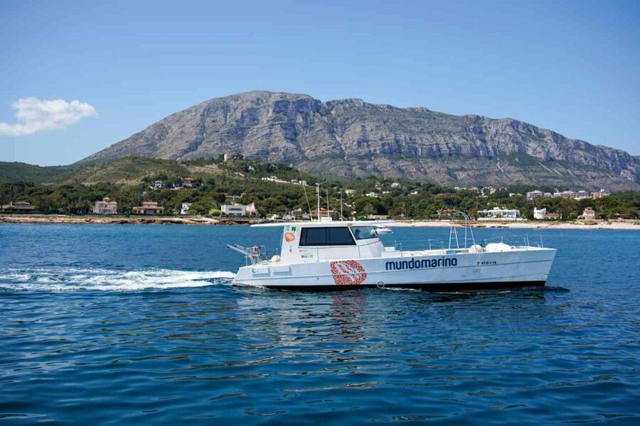 From Denia: Boat Trip to Tallada Cave with Optional Swim - Is $14 good value for this Dénia cruise?