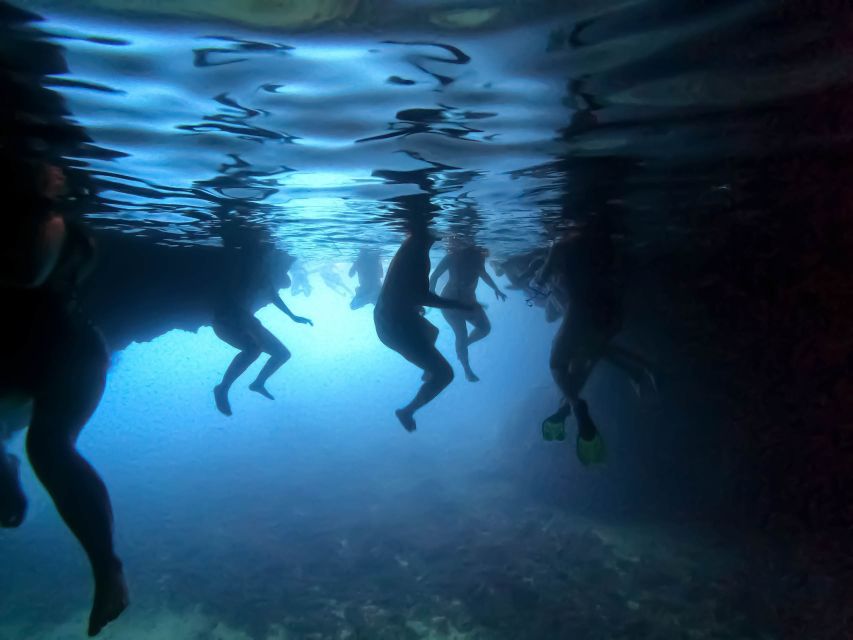 From Dubrovnik/Cavtat: Blue Cave, Sunj Beach Speed Boat Tour - Leaving Dubrovnik for the Koločep coast
