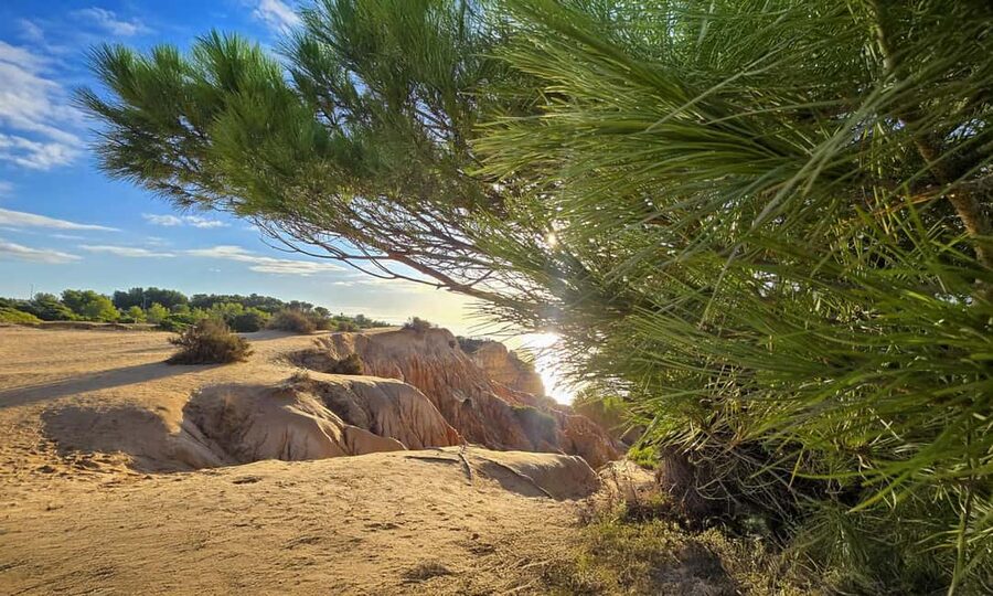 From Faro: 7 Valleys Hiking, Benagil Cave, & Snorkeling Tour - What Claire and Sebastian add