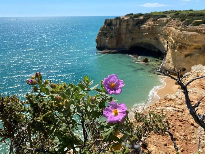 From Faro: Benagil Cave and Seven Hanging Valleys Trail Tour - Benagil Cave from the cliff tops