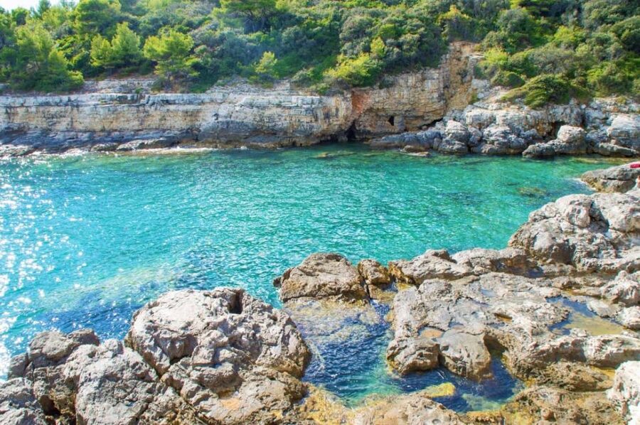 From Fažana: snorkeling at sea cave and Brijuni Island - Figo cove, a small stop with simple pleasures