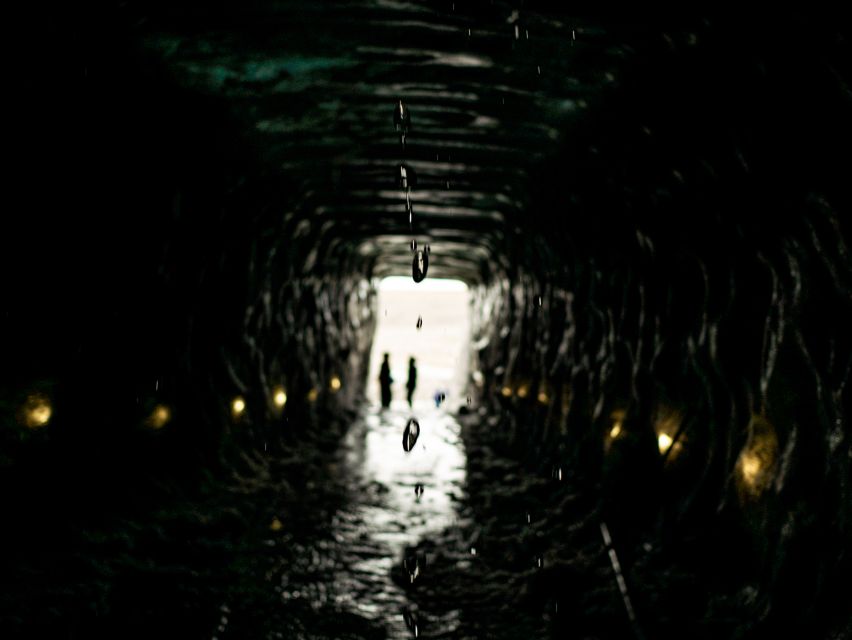 From Gullfoss: Langjökull Ice Cave and Snowmobile Tour - Who will enjoy this most