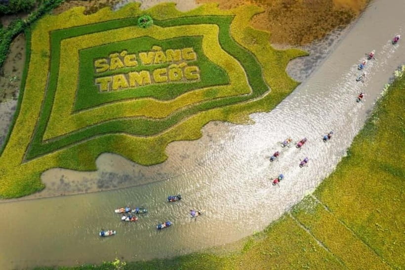 From Hanoi: Tam Coc Boat Trip and Hoa Lu & Mua Cave Tour - Key points to know before booking