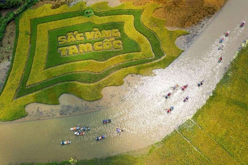 From Hanoi: Tam Coc Boat Trip and Hoa Lu & Mua Cave Tour - The Hanoi pickup and long road south