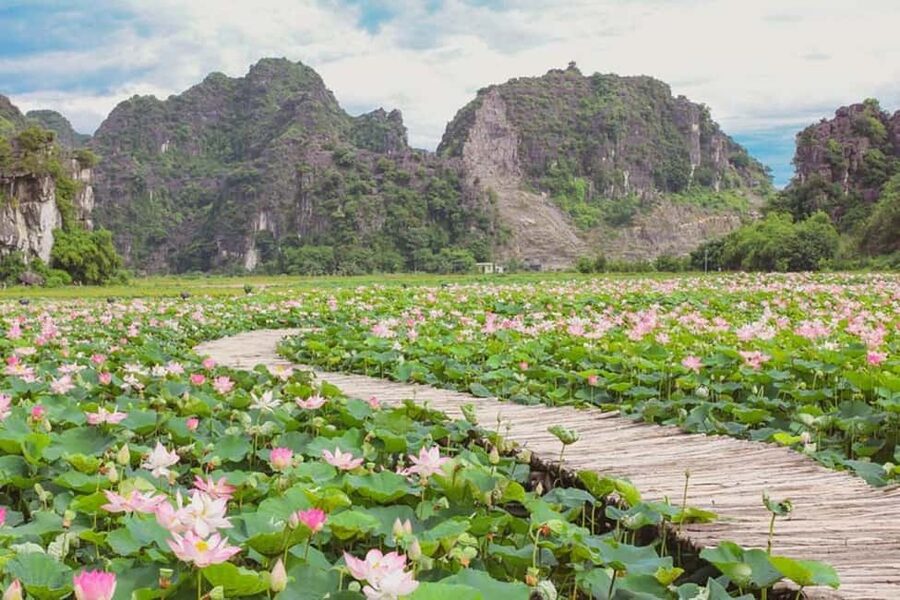 From Hanoi: Trang An eco-tourism - Hoa Lu ancient & Mua Cave - Lunch at a local restaurant