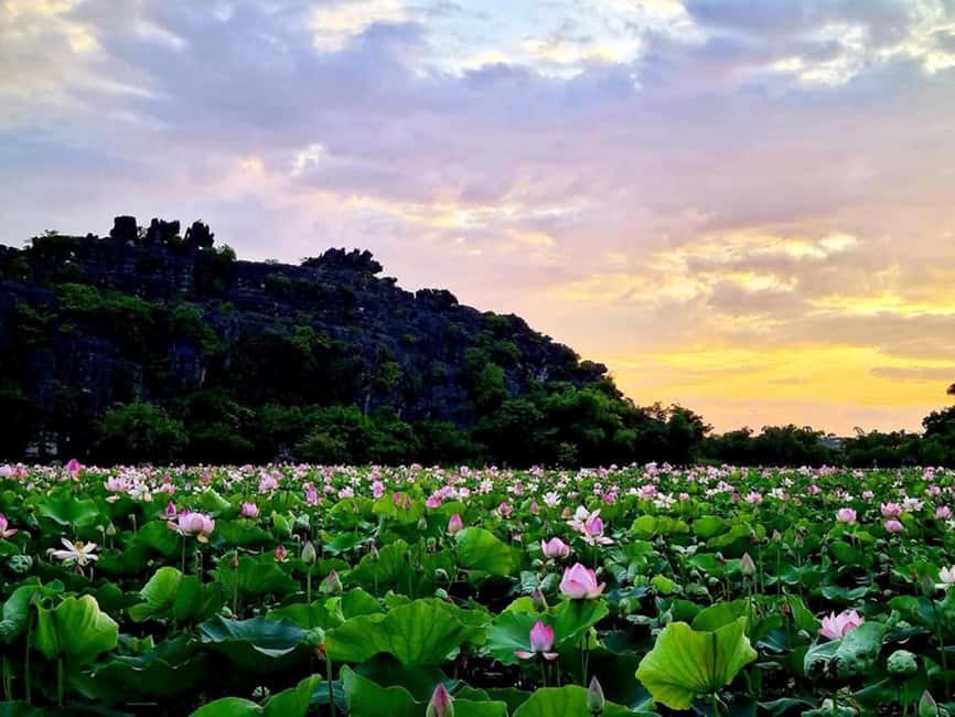 From Hanoi: Trang An eco-tourism - Hoa Lu ancient & Mua Cave - Trang An by small rowboat
